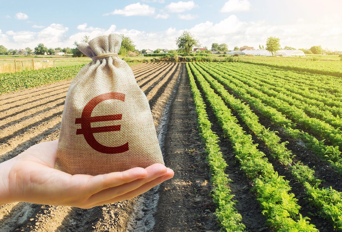 Aides régionales pour soutenir les investissements agricoles sur vos